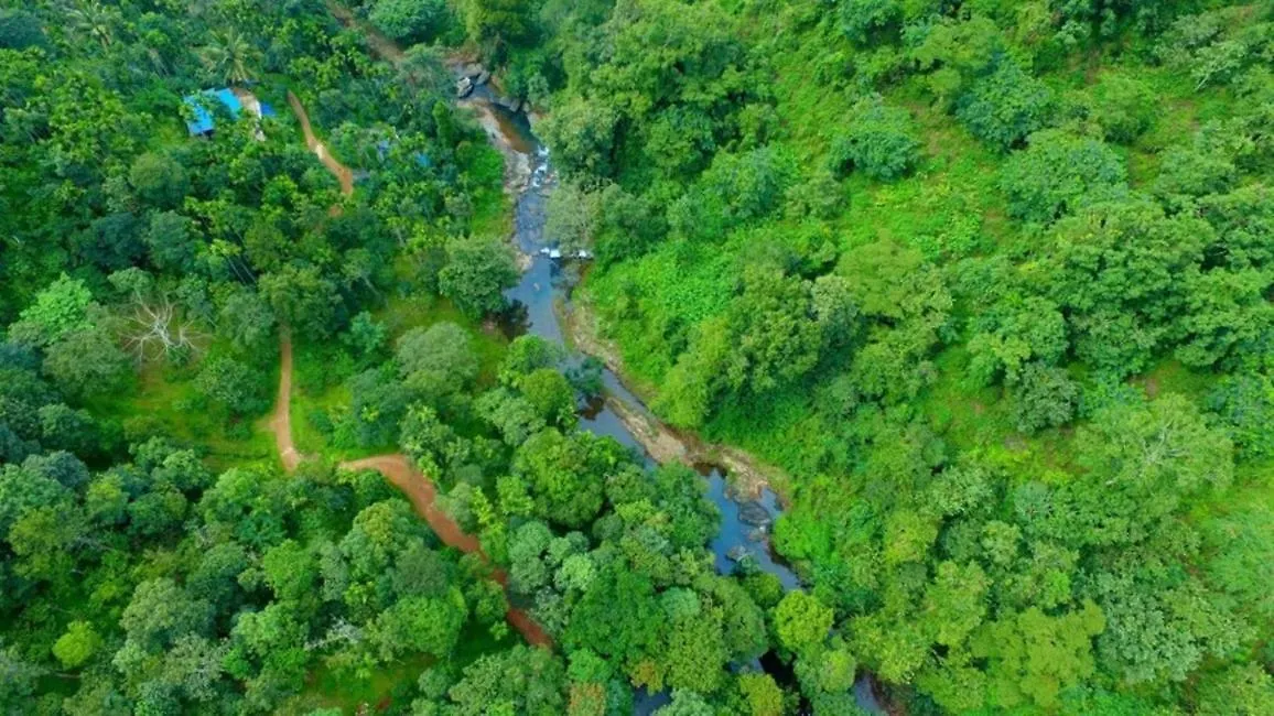 Ranches Jungle Beats Resorts Meppādi