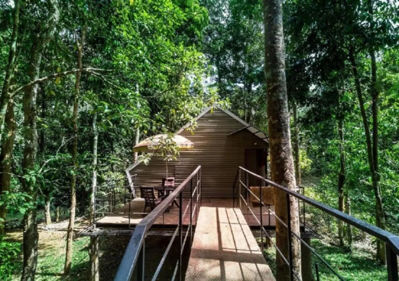 Ranches Jungle Beats Resorts Meppādi