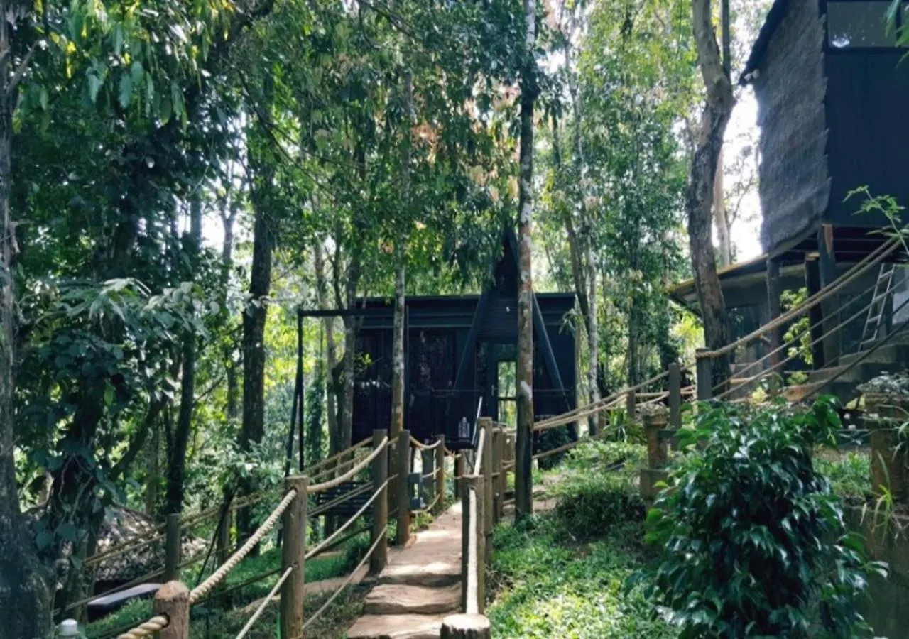 Ranches Jungle Beats Resorts Meppādi Inde