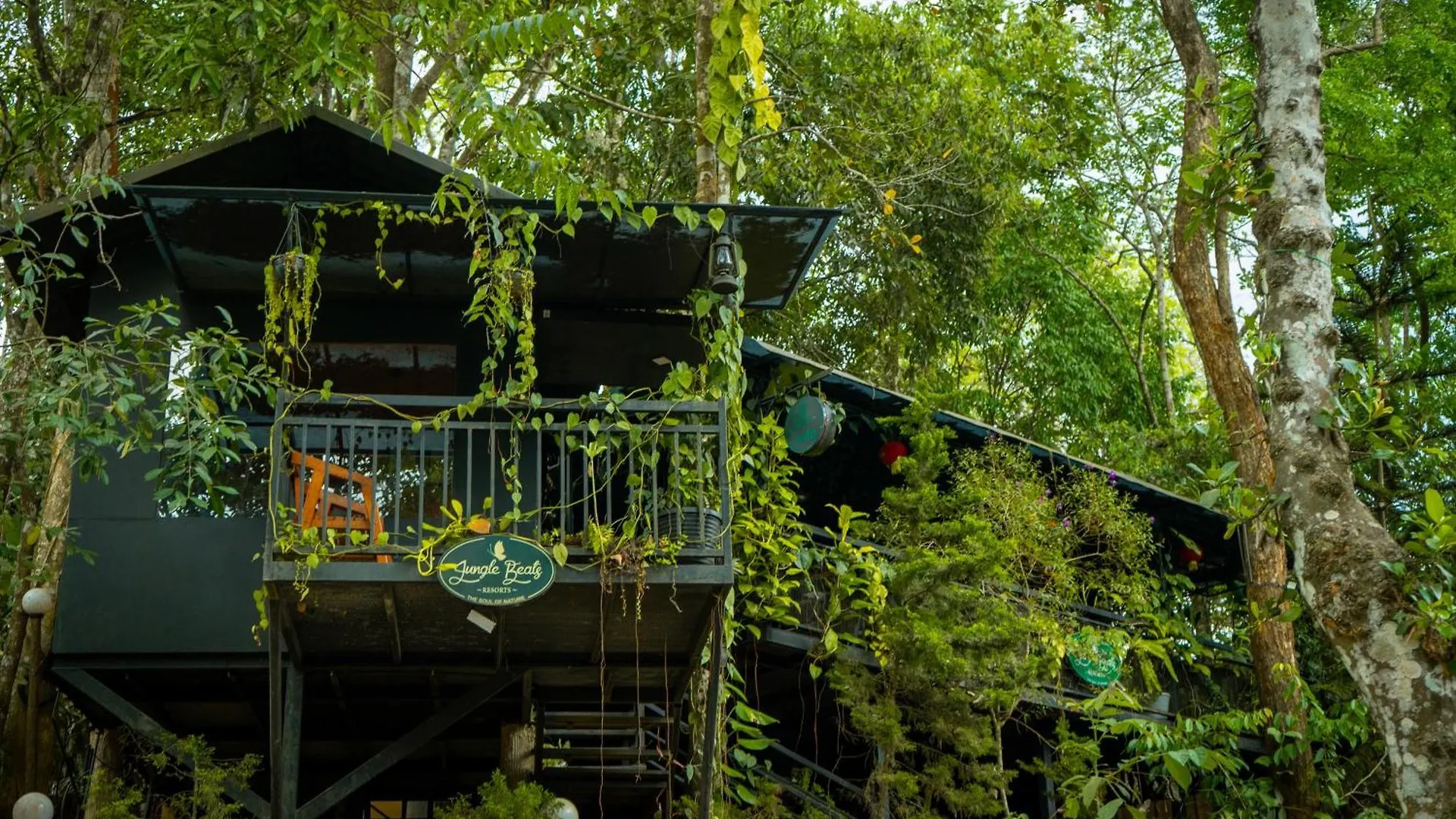 Ranches Jungle Beats Resorts Meppādi