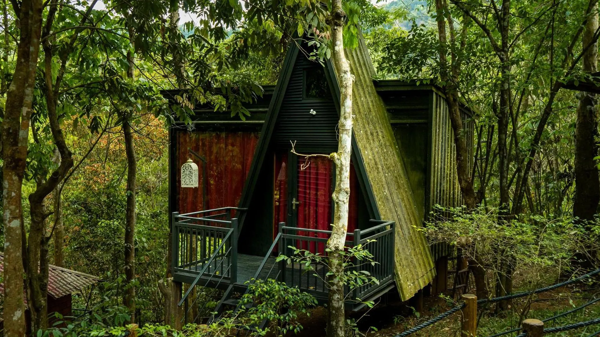 ***  Ranches Jungle Beats Resorts Meppādi Inde