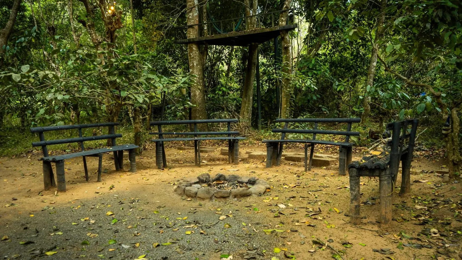 Ranches Jungle Beats Resorts Meppādi