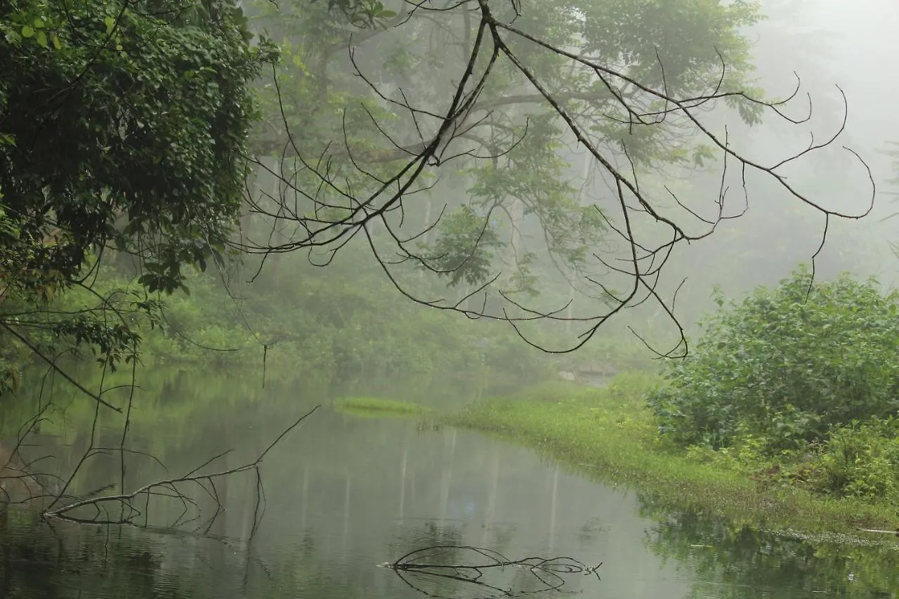 Ranches Jungle Beats Resorts Meppādi