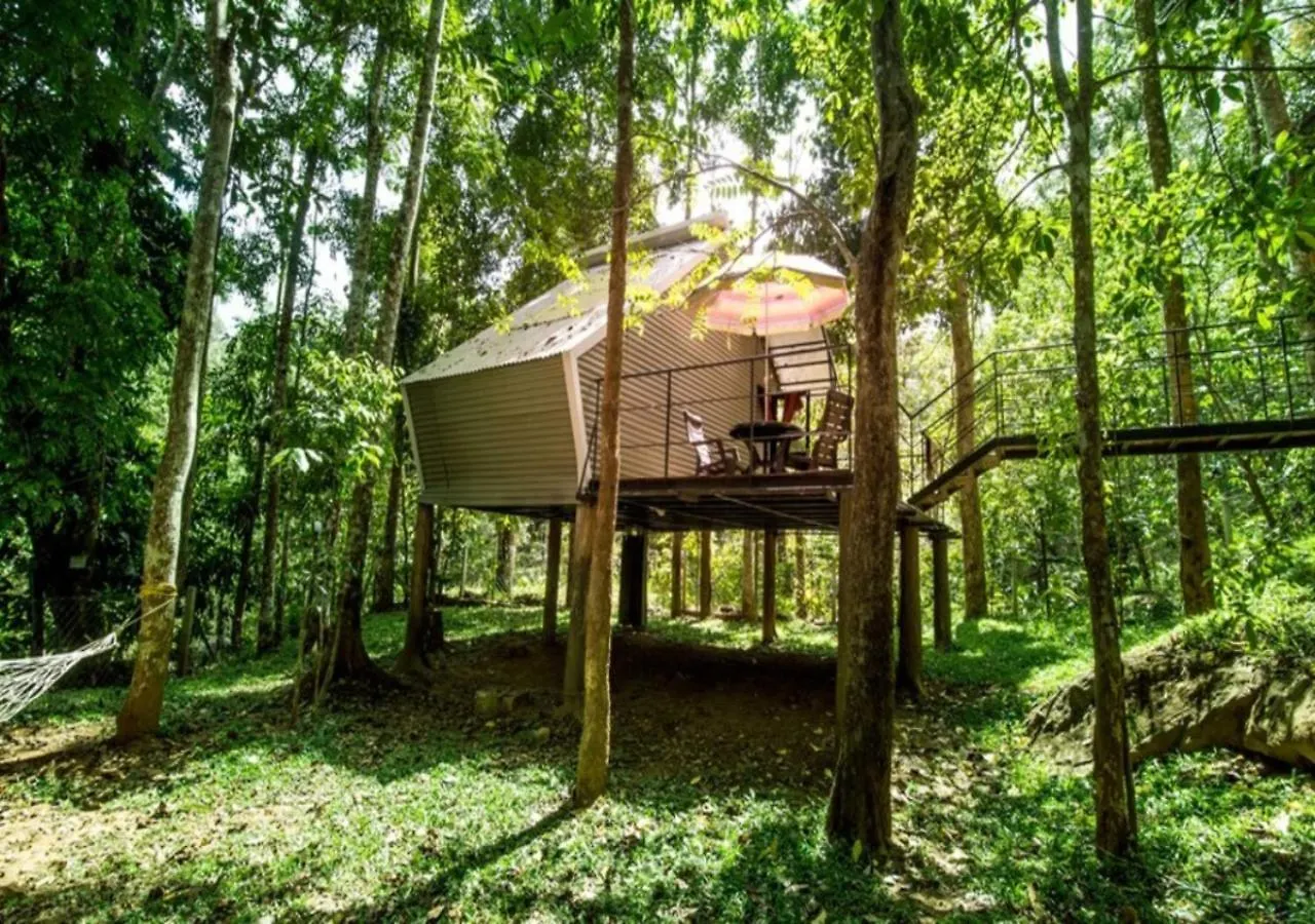 Ranches Jungle Beats Resorts Meppadi