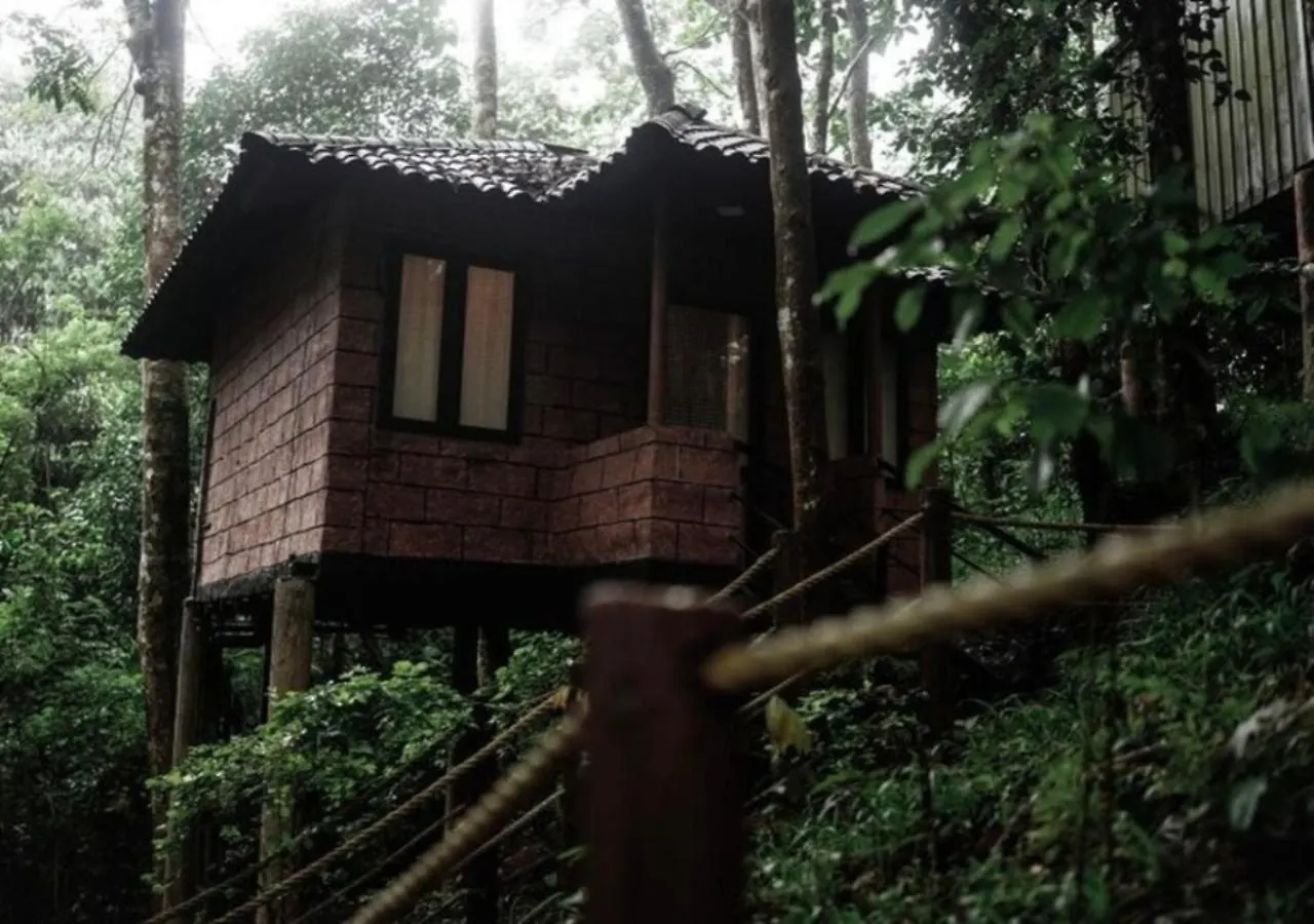 ***  Ranches Jungle Beats Resorts Meppadi India