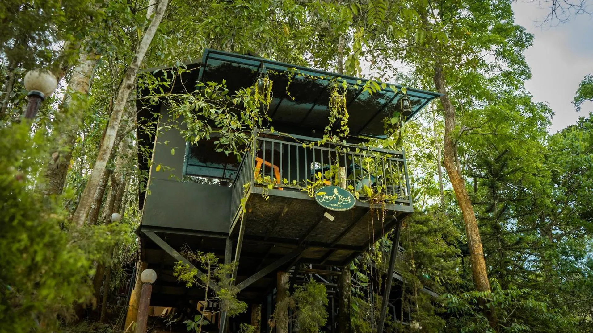 Ranches Jungle Beats Resorts Meppadi
