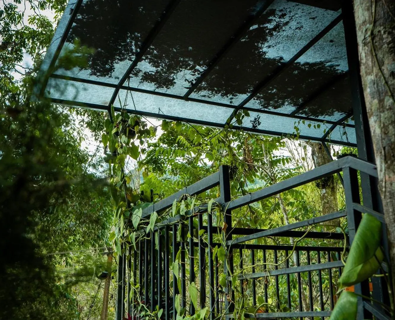 Ranches Jungle Beats Resorts Meppadi