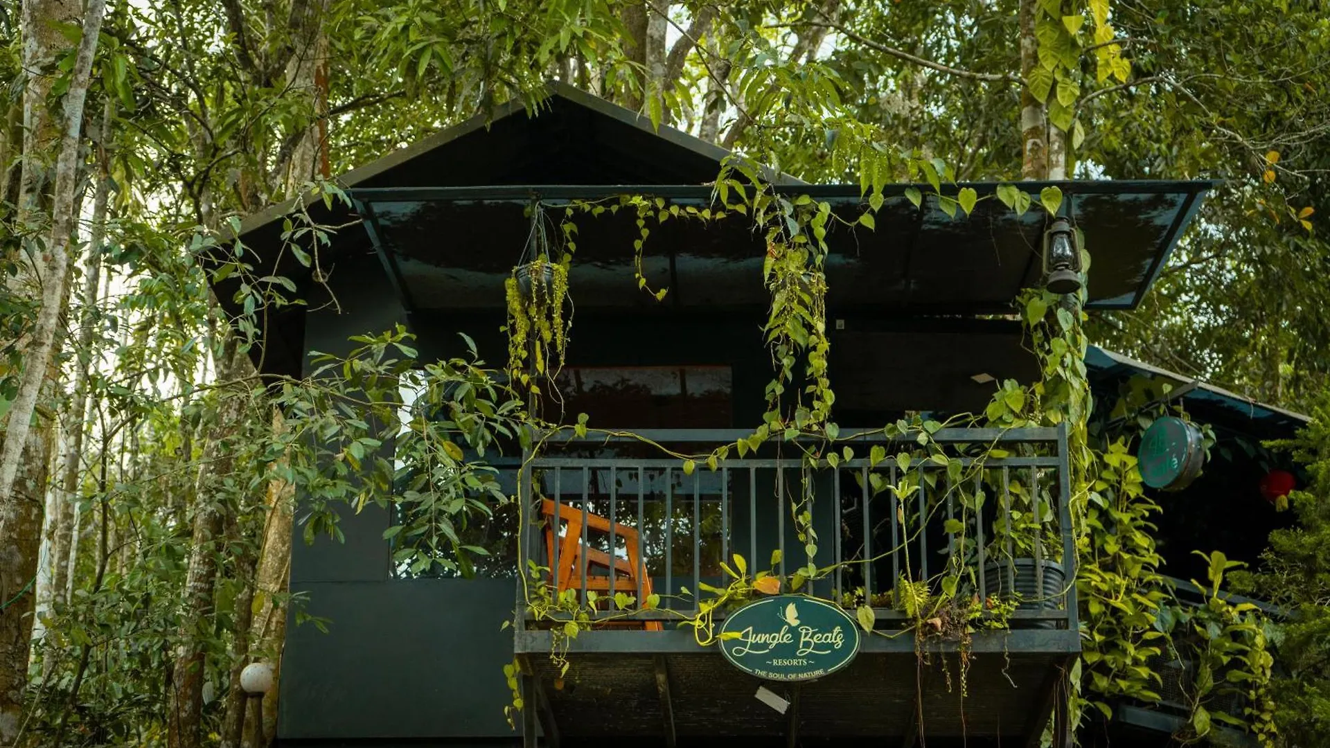 Ranches Jungle Beats Resorts Meppadi 3*,  India